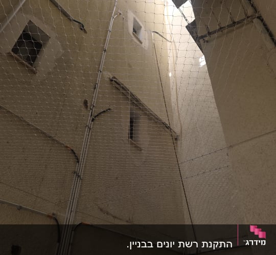 התקנת רשת שקופה להרחקת יונים במסתור כביסה ובפיר בניין